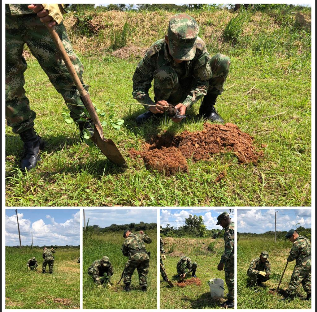 ftc_omega's tweet photo. #ComprendidosConElMedioAmbiente realizamos en #SanJosédelGuaviare una jornada de reforestación sobre la rivera de la quebrada Agua Bonita, en compañía de la Corporación para el Desarrollo Sostenible del Norte y el Oriente Amazónico.
#BATOT7 https://t.co/f40DDRiCm4