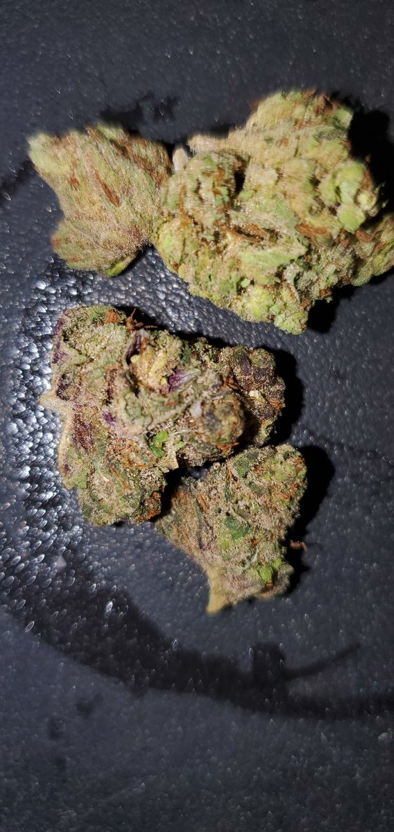 JaxLoud's tweet photo. Sherbet x gelato sherbelato https://t.co/QFXwQujwxm