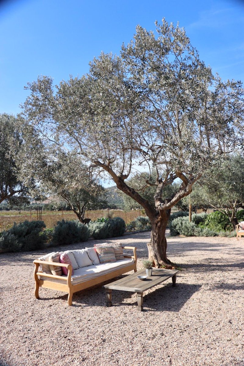 GlobalDMCs's tweet photo. Day two in #Greece was filled with unique event venues, breathtaking sights and lots of great views! #loveadmc #nodestinationisforeign https://t.co/fhZ4uQNi8e