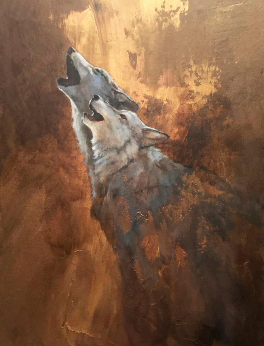 Come on down to see our beautfiul new show! conta.cc/2Ot3Cd5