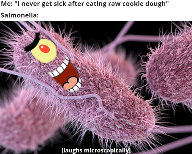 Go ahead, eat the cookie dough. #YOLO #FoodSafety