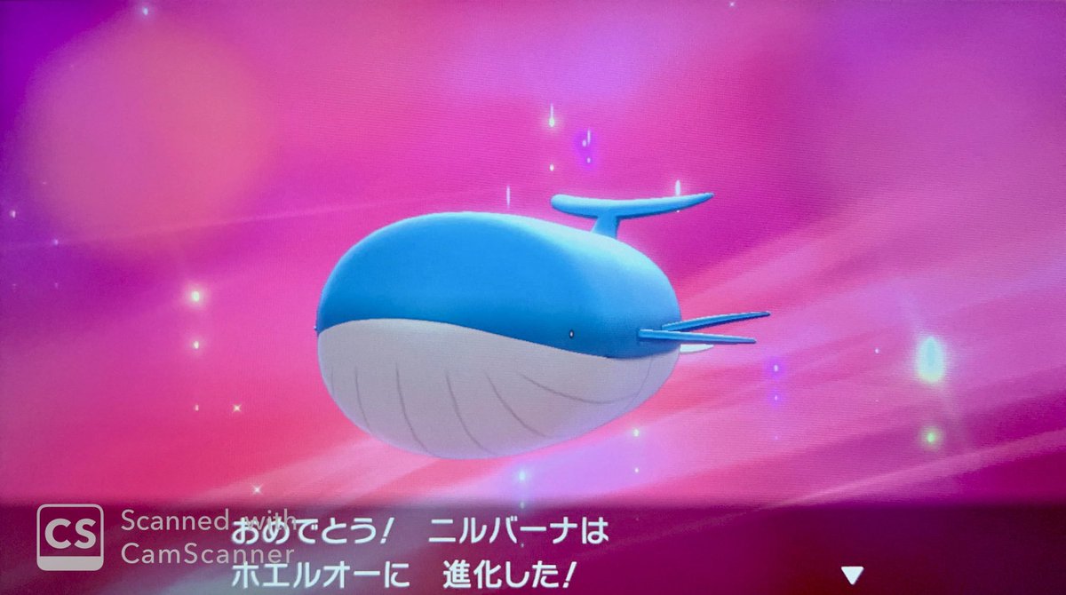 身内用 罪鍋ポケモン企画2 ポケモン剣vs盾vs鍋 9ページ目 Togetter