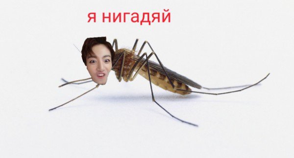 _Dream__Glow_'s tweet photo. #btsmemes
 Когда прошёлся по только что вымытому полу в магазине https://t.co/DfURFCIdVE