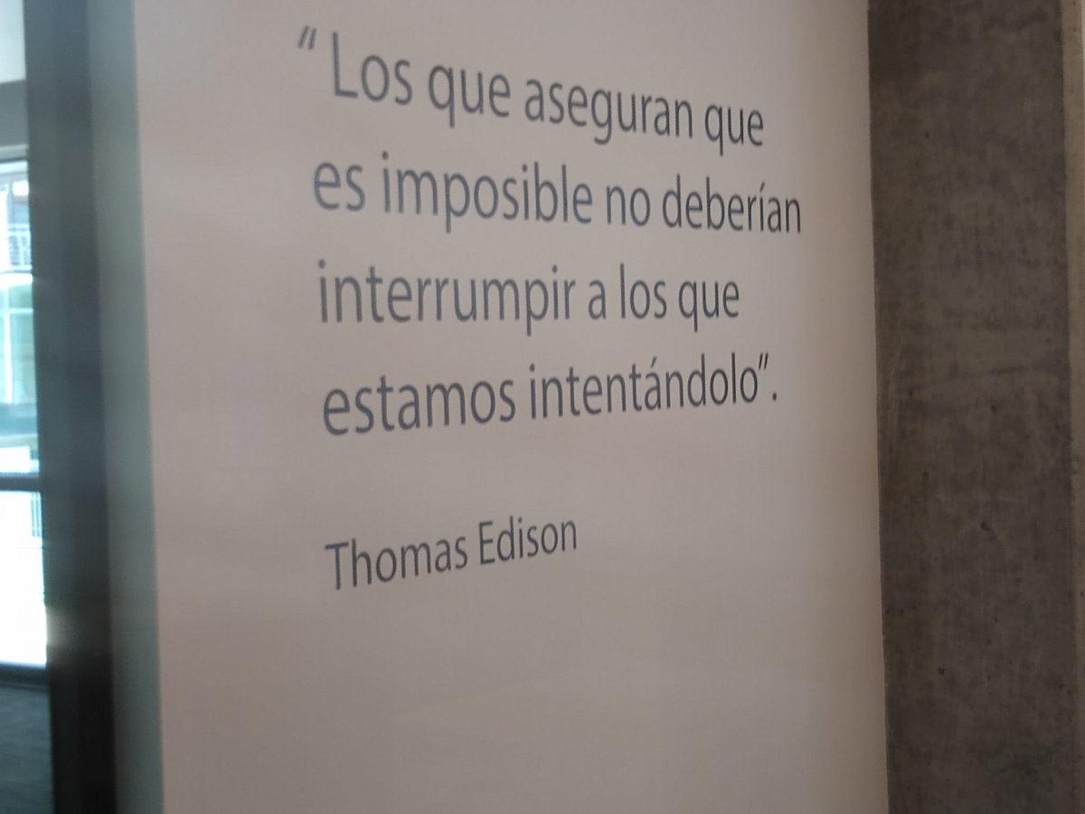 Mariana Aragón tweet media