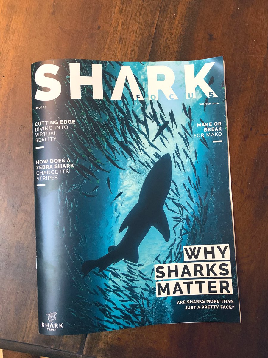 KjParton's tweet photo. Got my Shark Focus magazine in the post yesterday - I hear page 22 is pretty good! @SharkTrustUK @ExeterMarine @SharkEntangle https://t.co/2MhKJTapyt