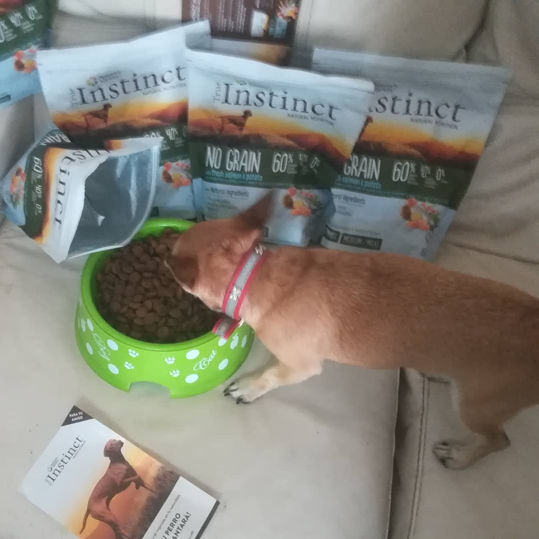 EDRA_BEAUTY's tweet photo. Probando la marca True Instinct, les ha encantado a mis 3 peludines🐾🐶🐕🐩 os la recomiendo al 100x100 cocción al vapor y conserva el sabor y el valor nutricional ❤️😍 el es Estesso 
 #nutricionnaturalti  #trueinstinctes @trnd_es https://t.co/kLIIdcua2O