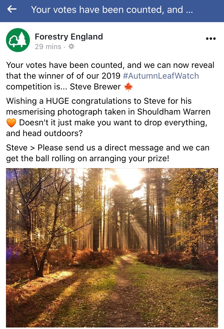 stevewbrewer's tweet photo. I won a photography competition! @ForestryEngland Shouldham Warren rewards those that visit. Really pleased that others have been made aware of its beauty. However it remains on Norfolk County Council’s Minerals &amp; Waste Plan to potentially be destroyed and turned in to a quarry. https://t.co/YIGHx8nxZ4