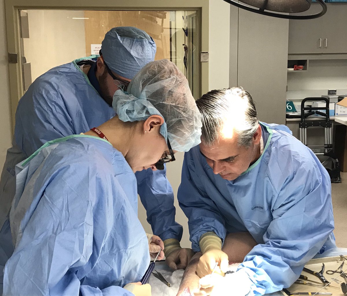 Thanks to Dr. Michael Garcia (@forecme) from the Florida Orthopedic Institute and Arthrex for teaching our fellows advanced soft tissue reconstructions techniques in the hand and wrist. <a href="/mayoclinichand/">@MayoClinicHand</a>