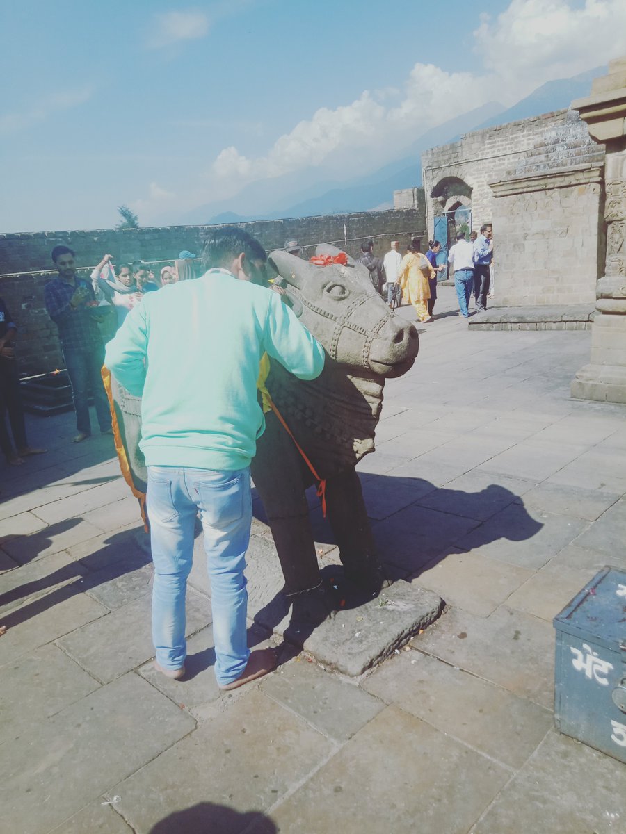 मैं लोगों की आस्था का सम्मान करता हूं परंतु देखिए किस तरह से लोग एक पत्थर की गाय के कान में अपनी मन्नत को मांग रहे हैं बल्कि उन्हें चाहिए कि  गली में जीवित गाय का सम्मान करें और उसे   गौशाला में पहुंचाए और  गाय के नाम पर दान दें..