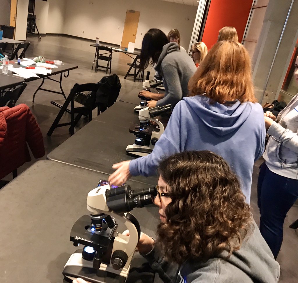 CoxVHSci's tweet photo. Nothing better than spending a Saturday hanging out with @mrcoxtw performing electrophoresis experiments during our @UnionStationKC ScienceWise cell biology workshop! #isdstrong @HOSA_VANHORN @VHSTEM https://t.co/MpEaM35wLf