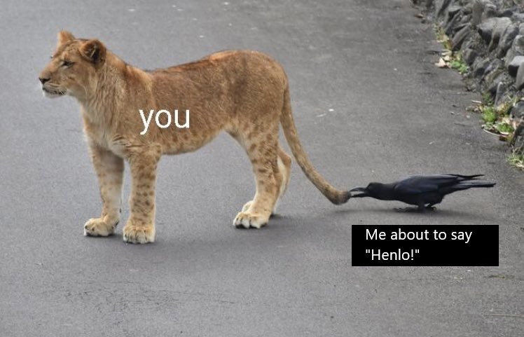 Hargoth tweet media
