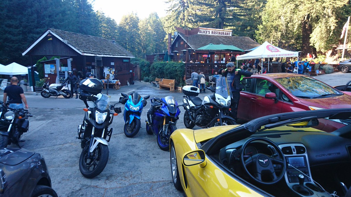 Somewhere for <a href="/Huskyteer/">Alice Dryden</a> if she's ever in the Bay Area.