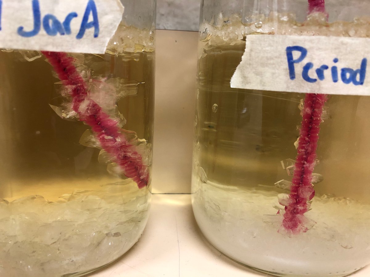 Mrs. Spencer tweet media