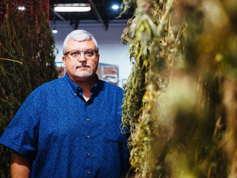 BizHemp's tweet photo. All told, they’ll produce millions of seeds by the end of this growing season. Clay said they won’t have any problem finding buyers for them; there was a seed shortage this year and next year demand could be even higher. https://t.co/sWFtDaK3aC https://t.co/yXfzUcGiJ9