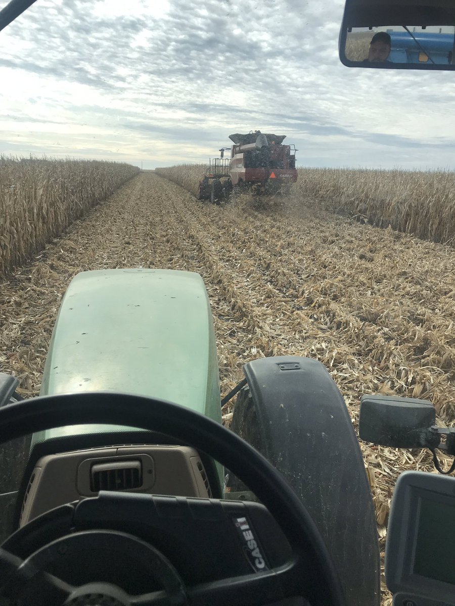 I get to farm today!  Helping a friend who’s leg got in fight with an auger earlier this harvest.  Unfortunate circumstance but I can’t say I’m not enjoying myself nonetheless.  I’ve been selling equipment for 13 years but rarely get to actually farm with any of it.  #harvest2019