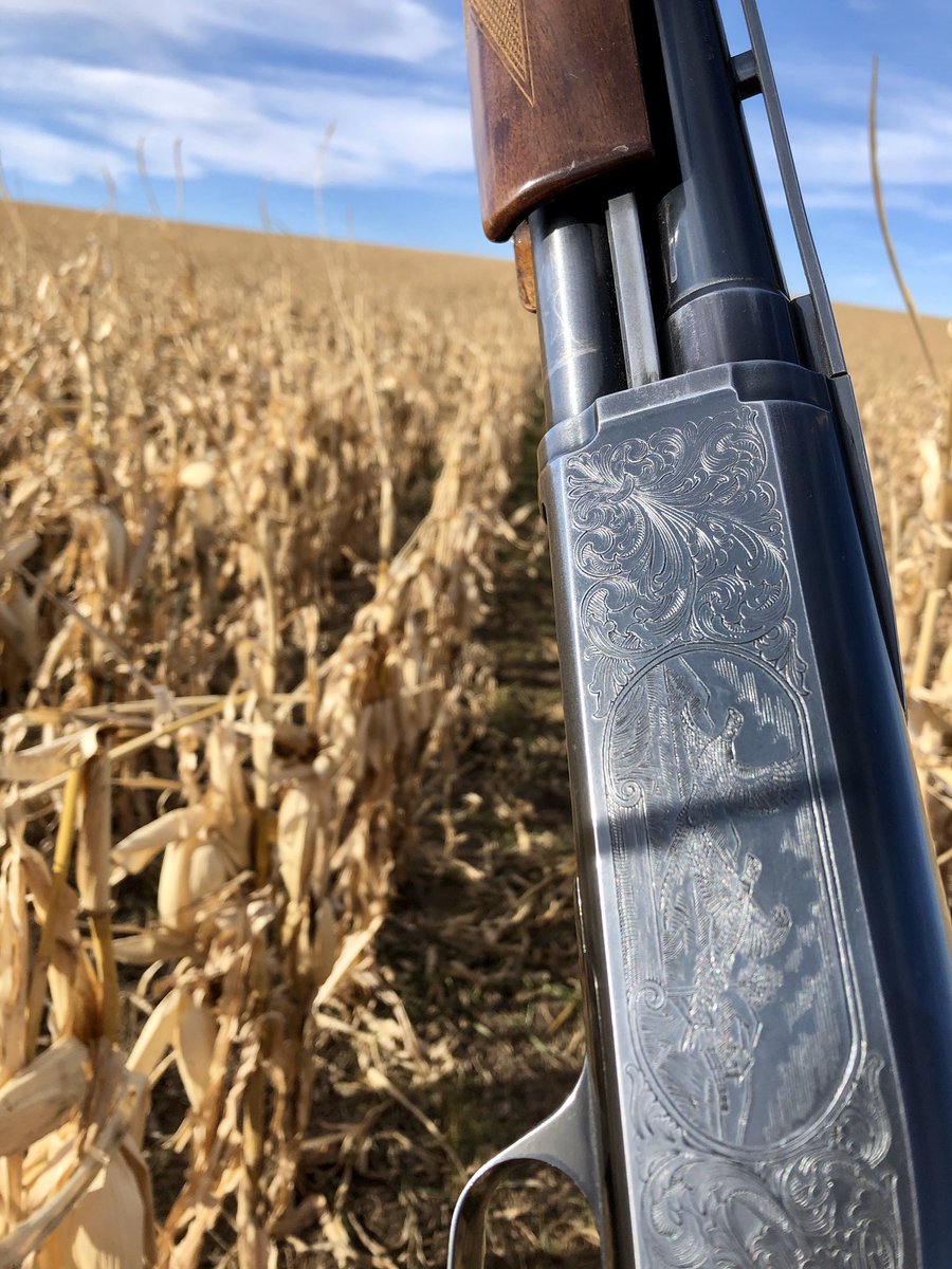 circlehbirddog's tweet photo. Right where she was made to be!
@browningfirearms
#dogofalifetime #circlehgundogs #gundogtraining #gundog #birddog #fetchingfeathers #uplandhunting #uplandgundog #uplandaddiction #uplandathelete #coveyrise #uplandtroubadour #projectupland #huntkansas #kdwp #dtsystems https://t.co/49RTpcjhCc