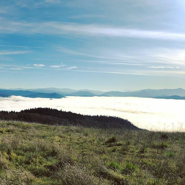 We walked right out of the fog this morning. @huck_the_xdog said no to pupparazzi though. #hikeswithhuck #mtpisgah #pnw #abovetheclouds #oregon ift.tt/2KOEPPC