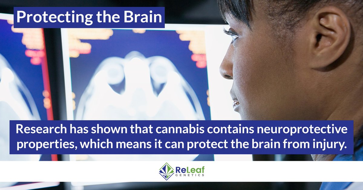 ReleafSummit's tweet photo. https://t.co/ZnFXPd1ebz
Research has shown that cannabis contains neuroprotective properties, which means it can protect the brain from injury.
#cannabis #neuroprotective #cbd #releafgenetics https://t.co/sWlSk2RNkf