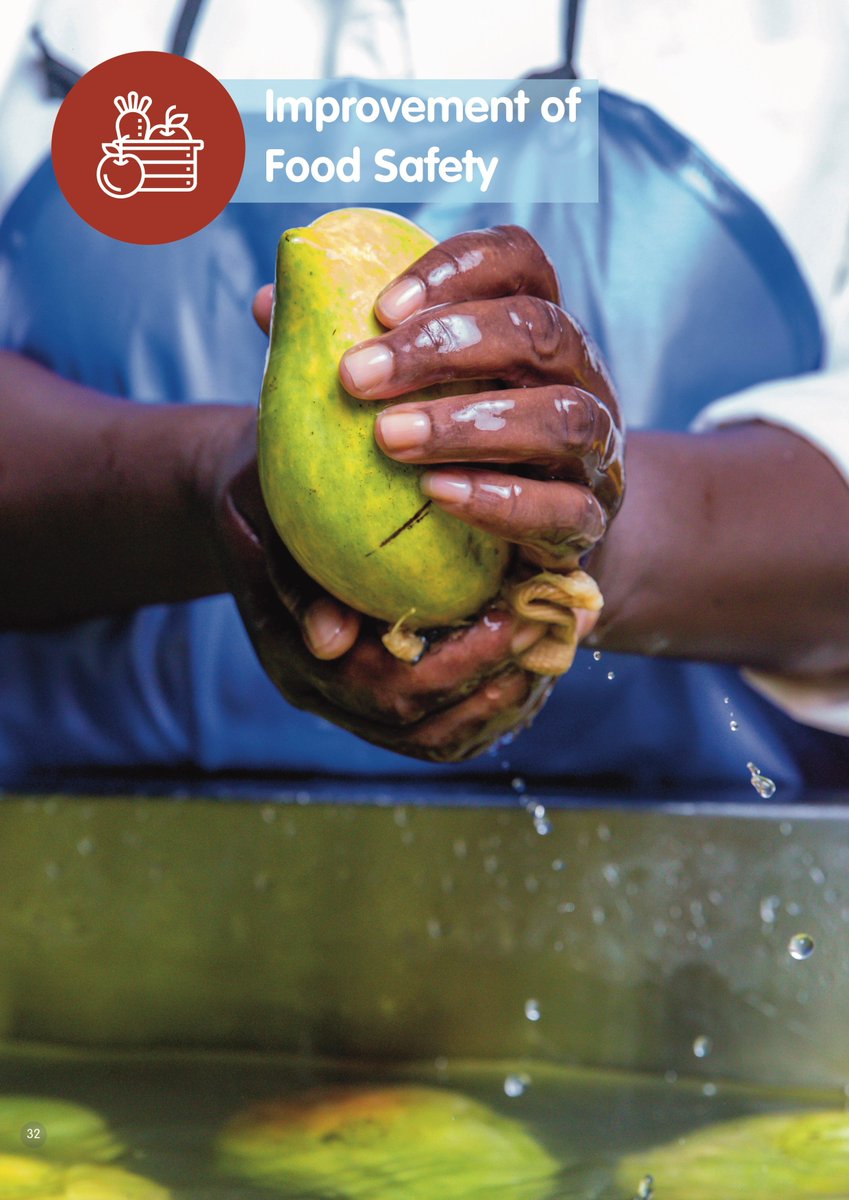 #LessonsLearnt: National roll-out of the SSP model requires significant investment hence the need to sustainably anchor it within a public-private partnership prior to expansion. <a href="/kilimoKE/">Ministry of Agriculture & Livestock Development</a> <a href="/StateHouseKenya/">State House Kenya</a> <a href="/FarmersTrend/">Farmers #Trend</a> <a href="/CropLifeKenya/">aak-GROW/CropLife Kenya</a> <a href="/Koppert/">Koppert</a> <a href="/pcpbkenya/">PCPB, Kenya</a> #HortISWAClose @SNV_AGRI