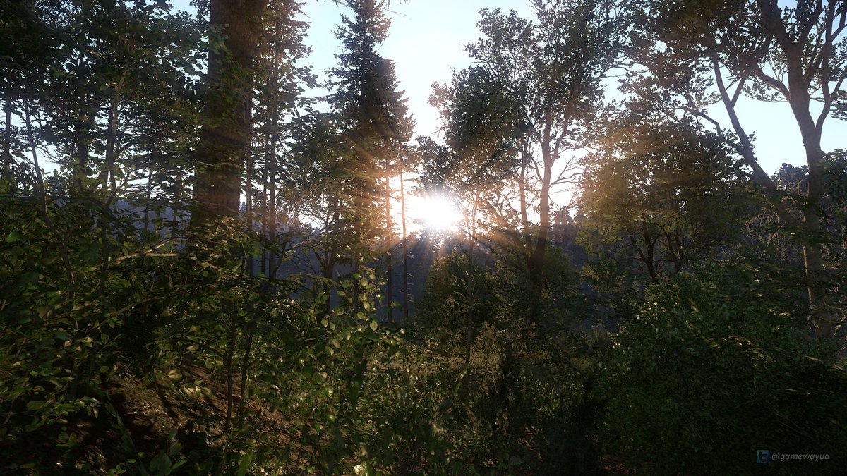 GamewayUA's tweet photo. Its #TCCforest🌲time in Kingdom Come Deliverance
📸#screenshotsaturday #KCD #VirtualPhotography #VGPUnite #gametography #GamerGram #TheCapturedCollective #ShotWithGeForce #GWScreenshots https://t.co/INWqRkJ2Hc