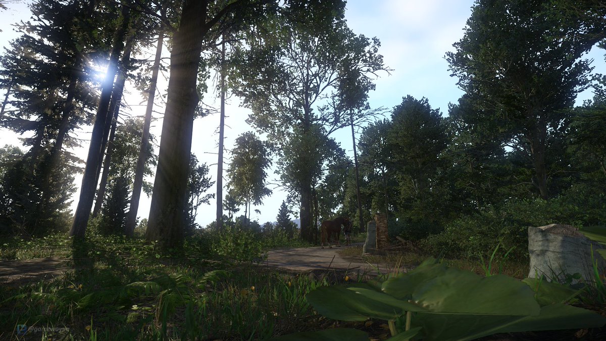 GamewayUA's tweet photo. Its #TCCforest🌲time in Kingdom Come Deliverance
📸#screenshotsaturday #KCD #VirtualPhotography #VGPUnite #gametography #GamerGram #TheCapturedCollective #ShotWithGeForce #GWScreenshots https://t.co/INWqRkJ2Hc