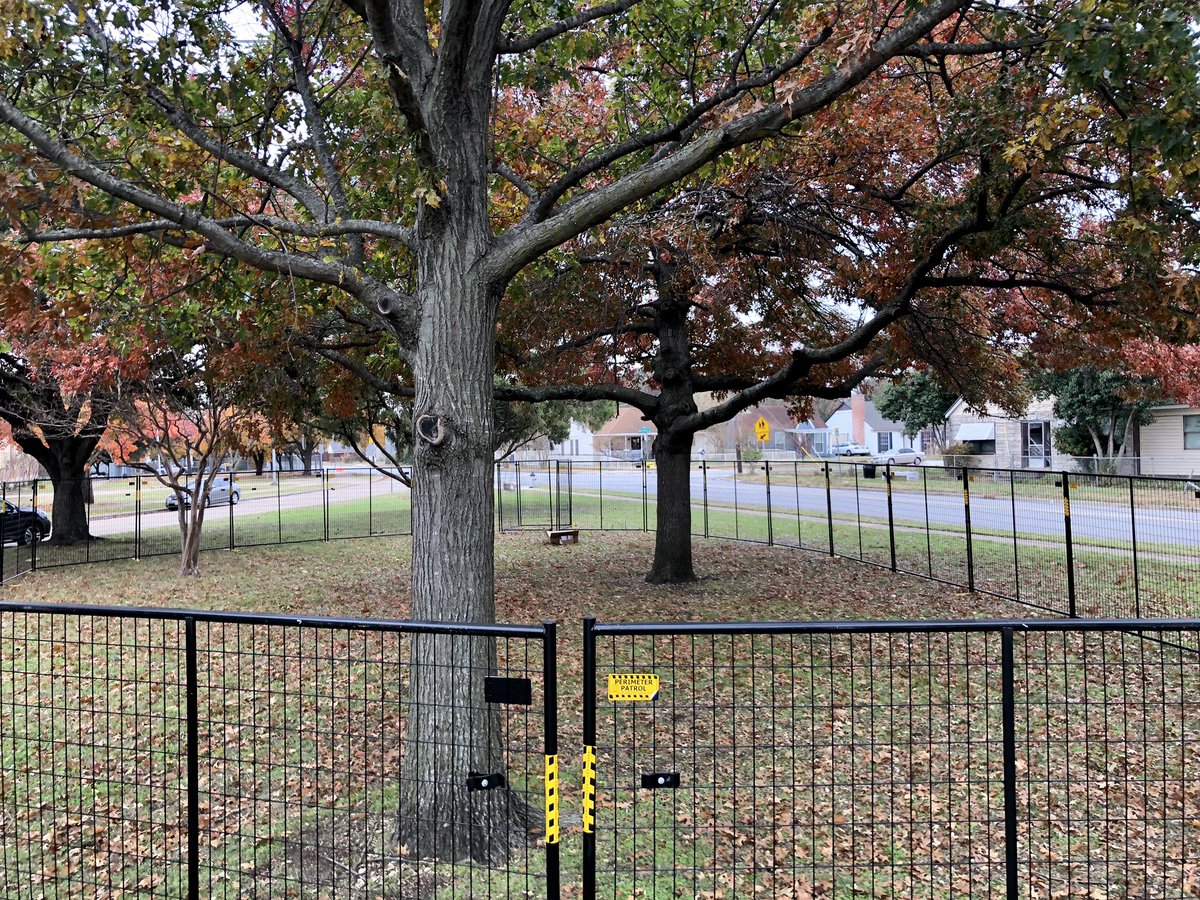 Elmwoof's tweet photo. Thank you to everyone who volunteered this morning. The new fence is looking terrific! More to come soon. #elmwoof https://t.co/QANp1ST2mT