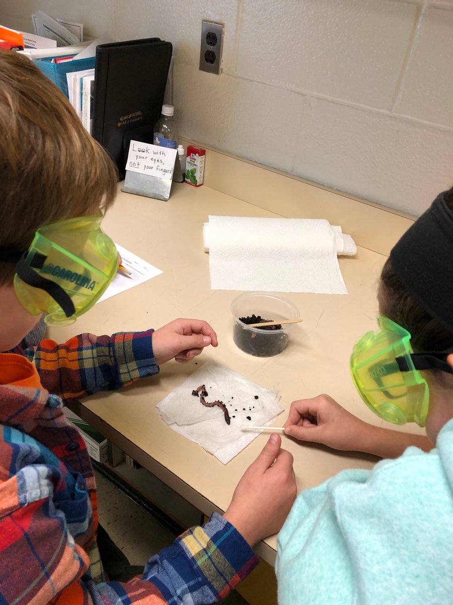 Mrs. Spencer tweet media