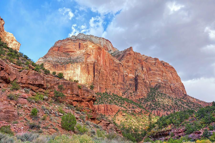 John_M_Bailey's tweet photo. Scenic Zion by John M Bailey https://t.co/ZoxgRRSkUu
Visit Touching Light Photography - https://t.co/dPQPMv9zVc to see many lovely art gift ideas. #photography #art #artspells #artforsale https://t.co/Lm2WZS1AEf