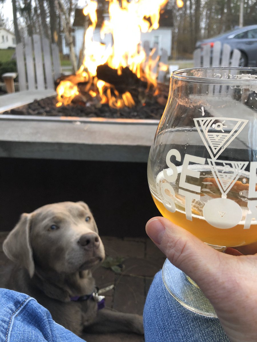 MoiraPlatzer's tweet photo. Everyone thinks @sevenstorybeer  is a treat 🐶❤️🍺 https://t.co/9FT1HNI5CB