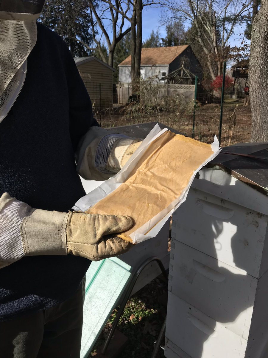 BugGuy5's tweet photo. Finished winterizing beehives today. Added winter food patties high in carbohydrates to supplement honey reserves. To help protect bees from cold weather, hives were wrapped with tar paper.  Moisture boards were placed inside to capture condensation buildup that occurs in winter. https://t.co/PG6JCroJcM
