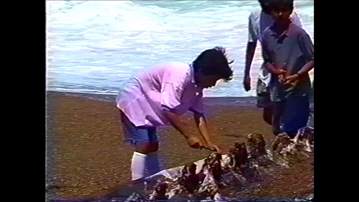 rodrigoqanf's tweet photo. Se acuerdan cuando filetearon a la ballena aquí en #antofagasta el 96 y todavía estaba viva 🔪🐳 #simiosql #NuncaMas https://t.co/uuoEbHOt92 ADVERTENCIA: IMÁGENES FUERTES https://t.co/WTzrNr8buR