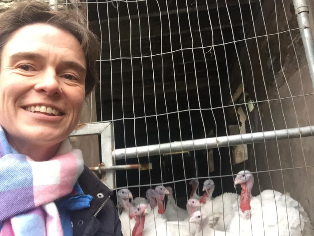 NDevonTories's tweet photo. Selaine has been playing a game of #ChristmasBingo collecting #Festive pics out on the campaign trail in #NorthDevon! Even meeting a constituent dressed as #Santa on the #doorstep! ๐
๐ป #winterelection #festiveelection #ItsBeginningToLookALotLikeChristmas #VoteConservative ๐๐๐ https://t.co/XaKbIwJqnl