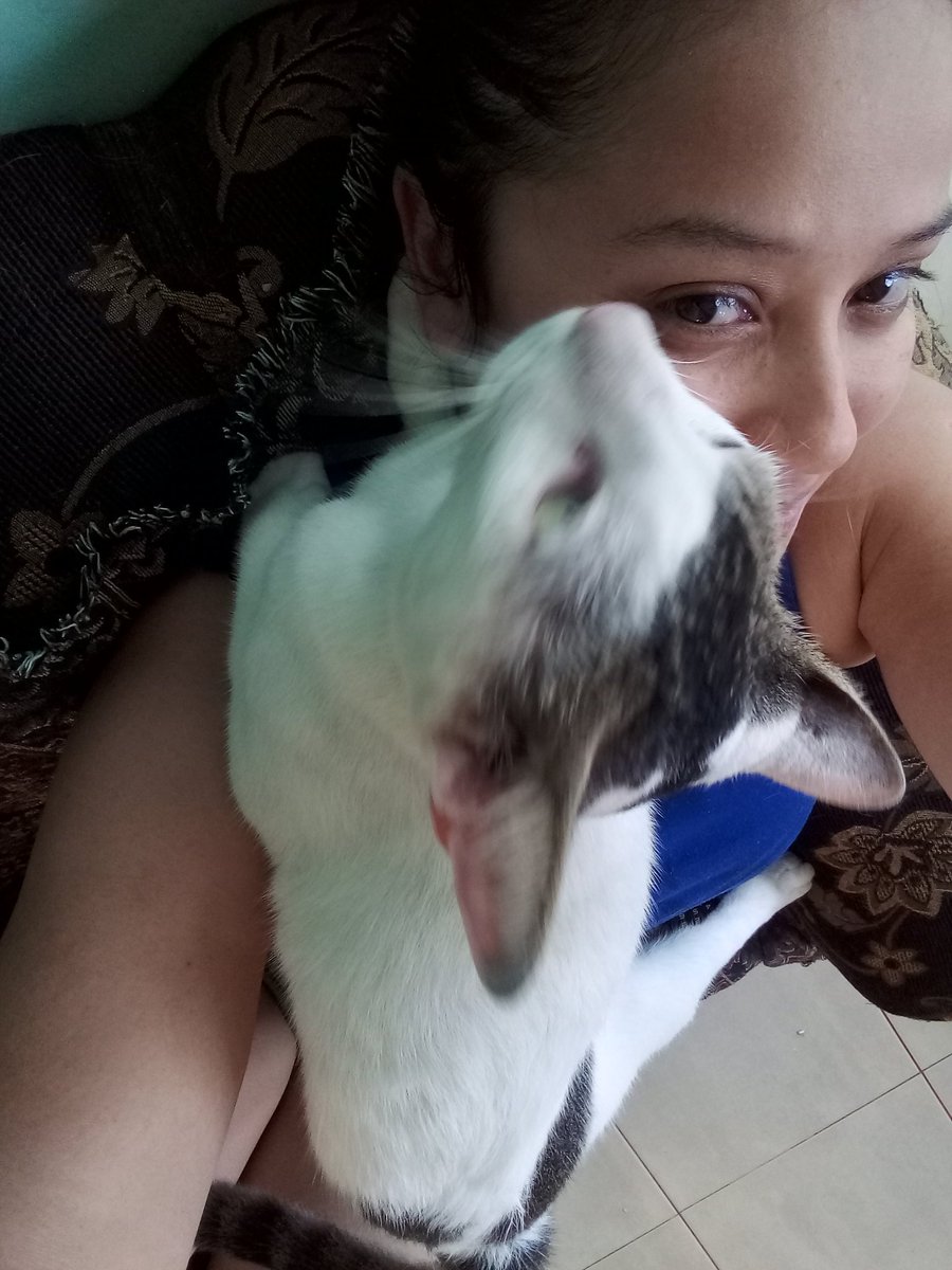 itzelita0204's tweet image. No sé en qué anda, pero entró dándome amor. #Labai