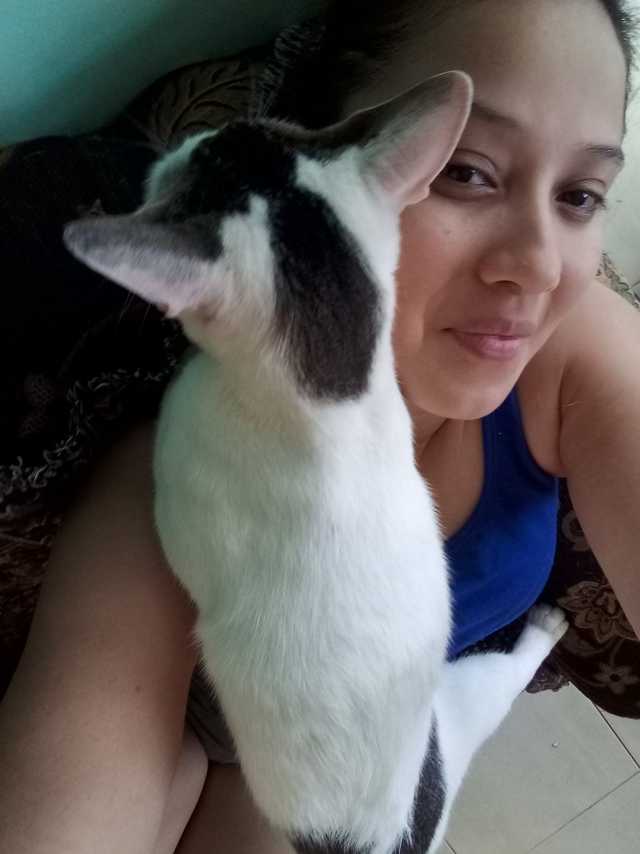 itzelita0204's tweet image. No sé en qué anda, pero entró dándome amor. #Labai