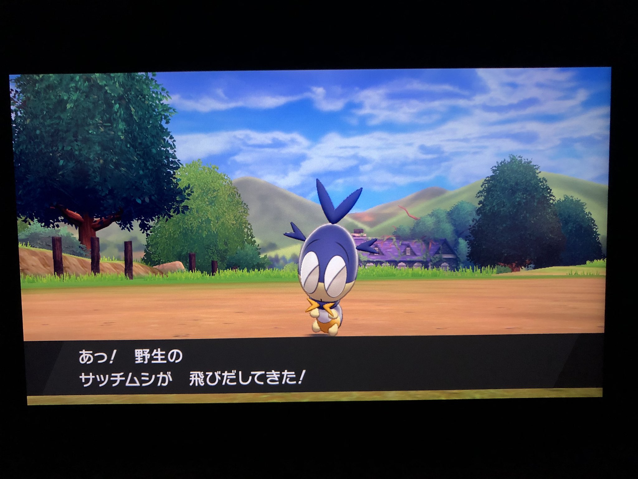 フカヒロ Pixivリクエスト5作目納品 ご依頼はpixivリクエストへ アキラのガラル冒険記 ハスボーも居る ハスボーが居るなら当然タネボーも居るはず 図鑑の歯抜け具合からも分かる ただしその後タネボーを全く見かけなかったので 対のポケモンらしく