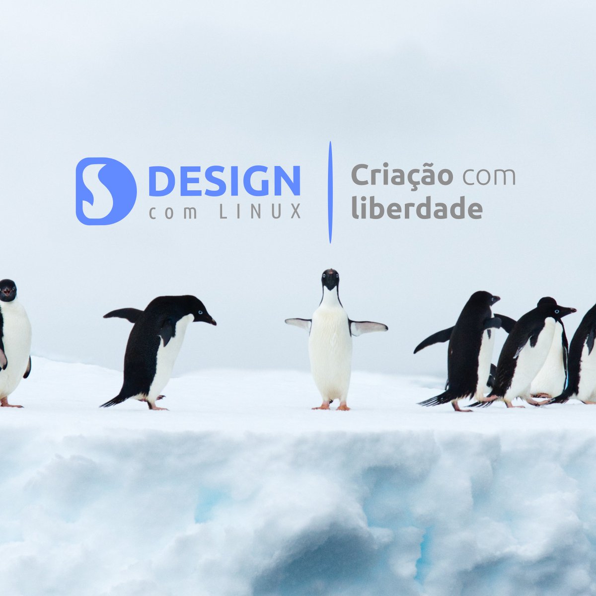 designelinux's tweet photo. O projeto Design &amp; Linux surgiu graças a vontade de pessoas que acreditam no potencial do ambiente Linux e seu grande leque de recursos para atender profissionais da área de Design! Afinal, não existe nada mais gratificante do que criar com liberdade! ❤️ https://t.co/Fxqg33364i