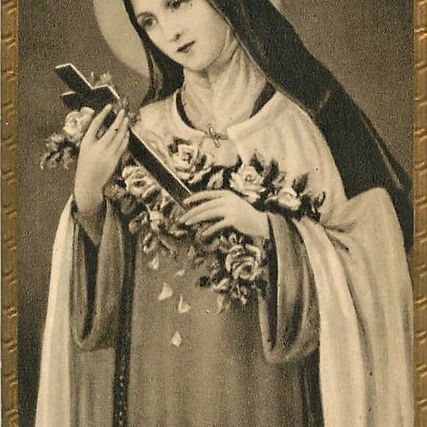 Mother of mercy pray for us sinners