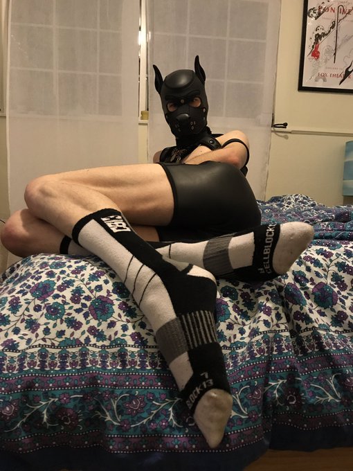 Any sock pups out there? Took these with @TWusky in mind 🧦 https://t.co/6HX1gneoAr<a class="tags" target="_blank" title="On Twitter" href="/?out=eyJ0eXAiOiJKV1QiLCJhbGciOiJIUzUxMiJ9.eyJpYXQiOjE3MjM2MzYzNjgsImlzcyI6InR3cG9ybnN0YXJzLmNvbSIsIm5iZiI6MTcyMzYzNjM2OCwiZXhwIjoxNzU1MTcyMzY4LCJyZWRpcmVjdF91cmwiOiJodHRwczovL3R3aXR0ZXIuY29tL1RXdXNreSJ9.4nwTbQ_a6dusV5pWdO6AnqtL2-wMU8B8fxf40OR0gWzqFz1QfS01ig-X_zvPsZjmJSwI9iOOFUuFQOVcba4Cvw">@TWusky</a><a href="/tag/blowjob"class="tags"><span>#blowjob</span></a><a href="/tag/gayporn"class="tags"><span>#gayporn</span></a><a href="/tag/humanpup"class="tags"><span>#humanpup</span></a>