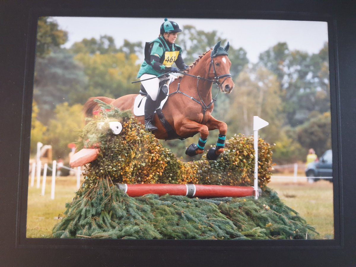 NHeventing's tweet photo. Seem to have found myself a suitable replacement for good old Monty. This one is looking set to fill his big shoes quite nicely! ❤️ https://t.co/RGzL9cnl9t