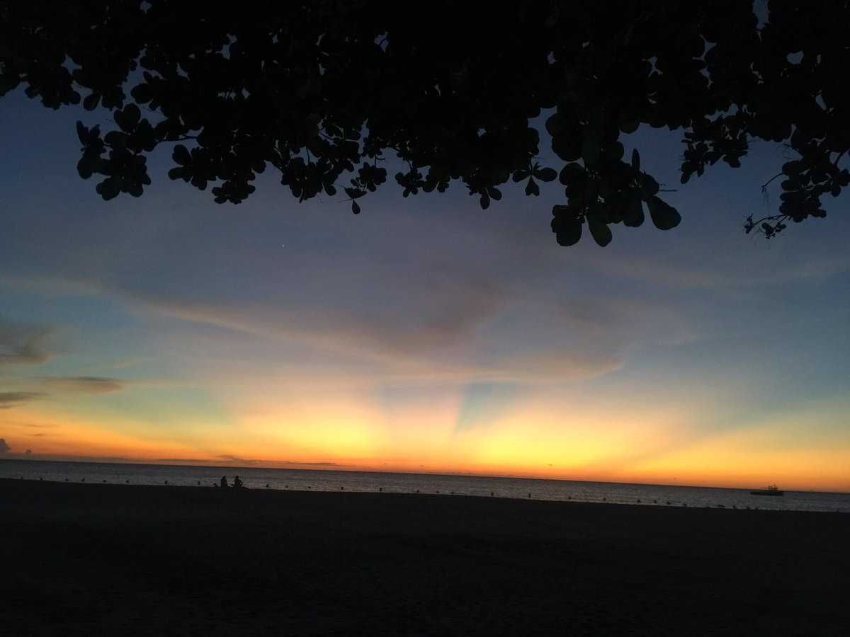 MariaJoseGomez_'s tweet photo. Happy place!! https://t.co/6Imr7HAz8Y