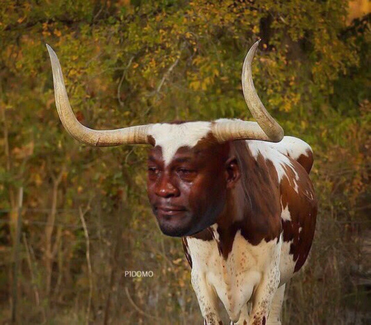 B1ackSchefter tweet picture