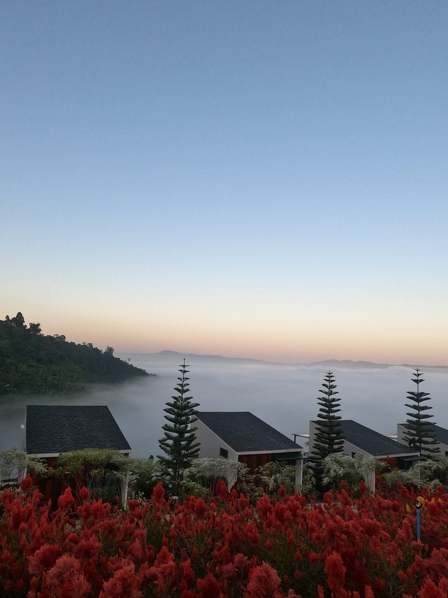 khonkheetiew's tweet image. เขาค้อเช้านี้ กับอุณหภูมิ 17 องศา
หมอกมาโชว์ตัวหน้าที่พักแบบใกล้ชิด ตื่นมาเจอวิวนี้เอามือคว้า Gopro Hero 8 มากดถ่ายแบบรัวๆ โนมุม โนวัดแสง โนฟิลเตอร์จ้า 

ที่พัก : Le Fog Resort 

#ReviewThailand
#TravelwithGoPro #GoProHERO8 #GoProThailand