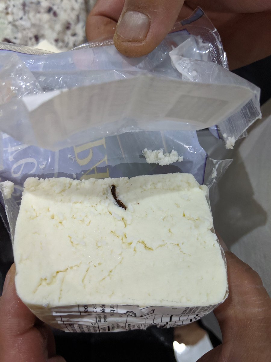 Vik Saili 🇨🇦 tweet media