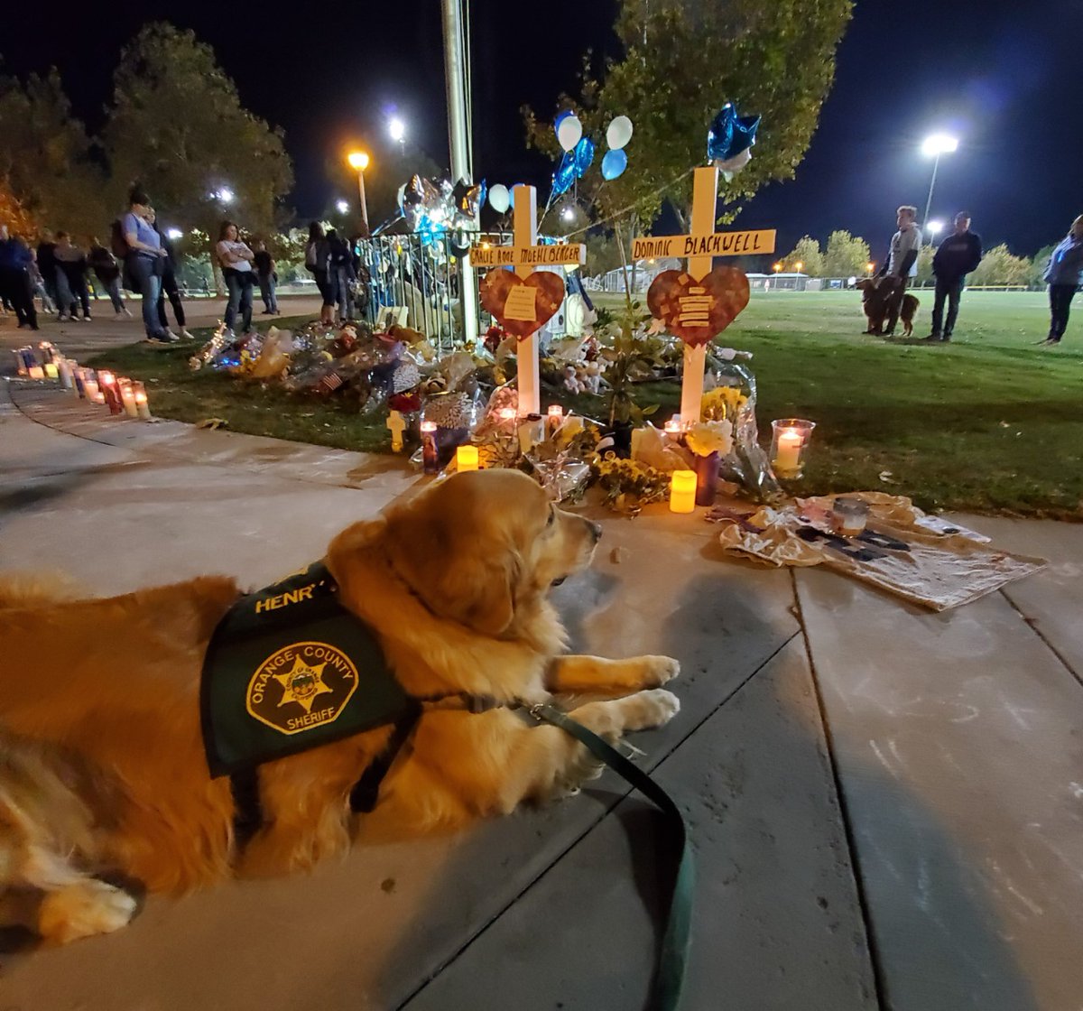 OCSheriff's tweet photo. Sometimes in a crisis it’s not words, hugs or a sympathetic shoulder squeeze that provides the most comfort. For some, it's a furry head resting on your lap. Read how #OCSheriff's therapy dog, Henry, helped the survivors of the #SaugusShooting on our blog: https://t.co/kK7YZSogpX https://t.co/v0gNrTmyQY