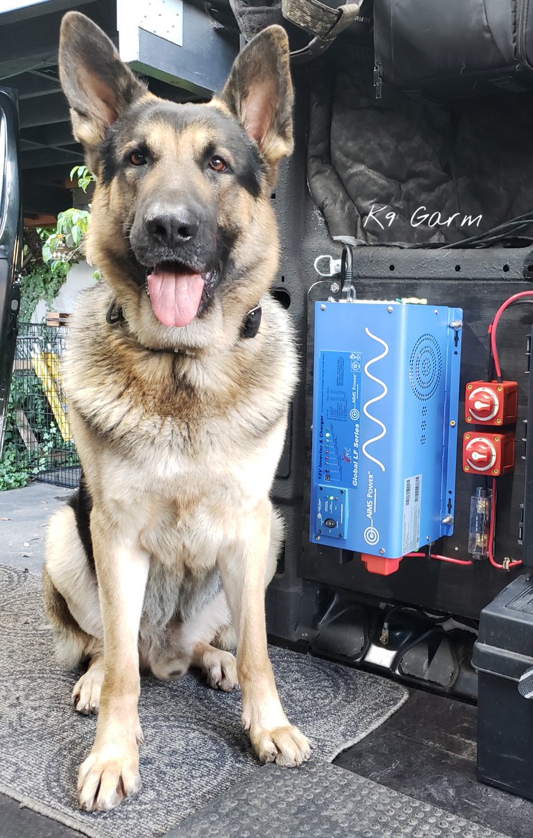 K9Garm's tweet photo. The #MooseMobile now has AC power supplied by solar. We are officially off grid ready! #K9Garm #SARK9 #dogsoftwitter #dog #dogs #germanshepherd #gsd #moosedog #FaMoose #AIMSpower #van #vanlife #offgrid #promaster https://t.co/GjRKCkol5h