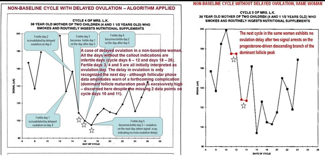 2 cycles suggestive of 2 ways of brain-ovary synchronization as precond' of  #ovulation In cycle 4, 2 days of ovultion delay after short-term predict' peak; in cycle 5, 2 days of signal arrests on the descend branch of the dom foll matur' peak, no ovu' delay after short-predict pk