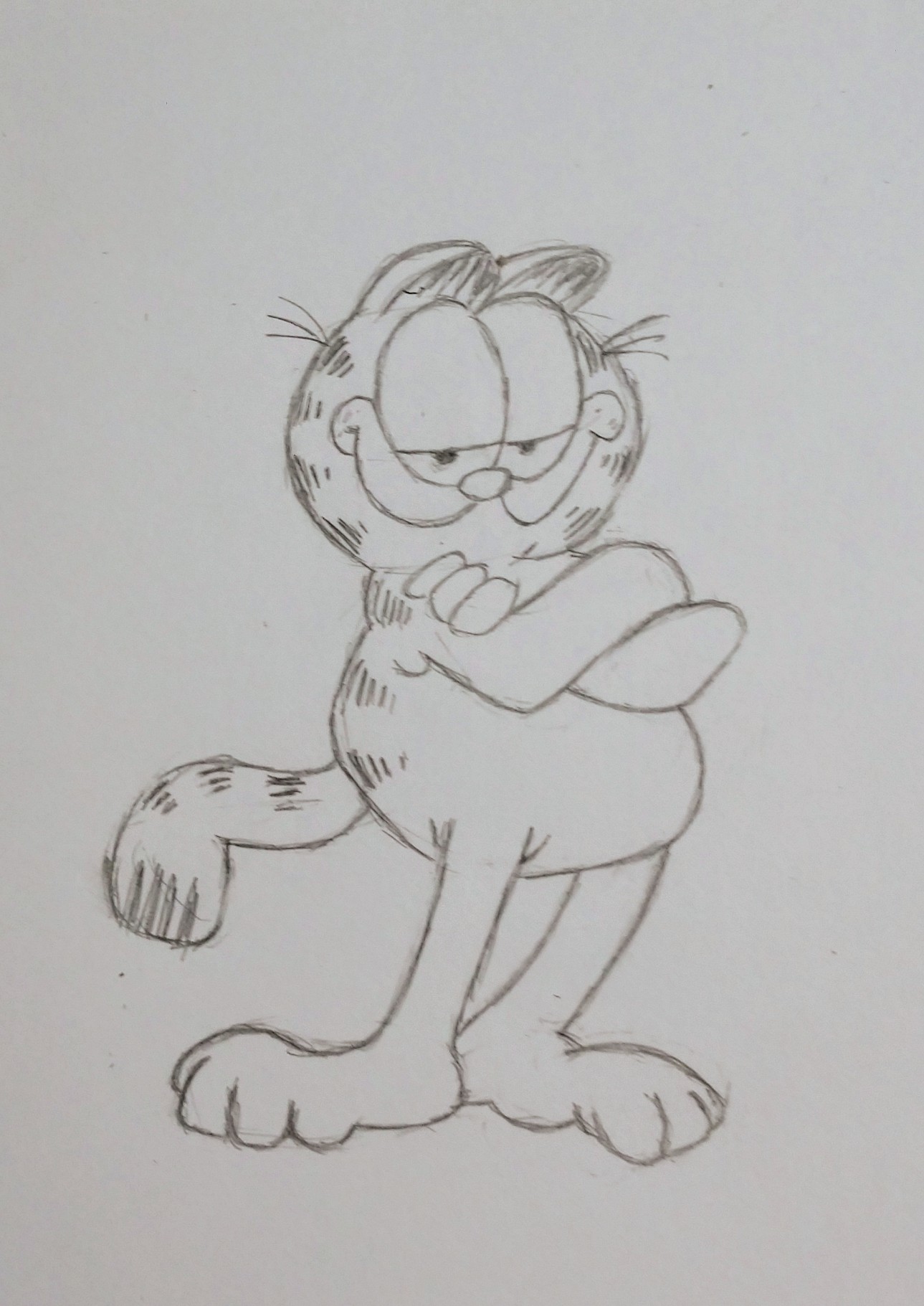 How To Draw Garfield  Drawing Transparent PNG  678x600  Free Download on  NicePNG