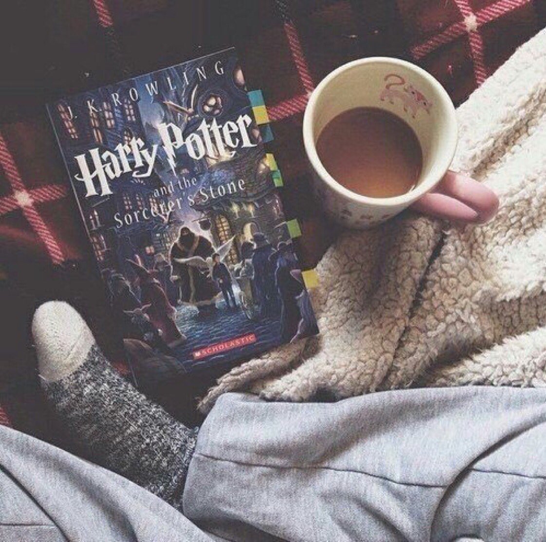 HPotterUniverse's tweet image. The perfect Saturday night.