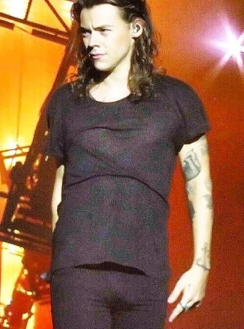 “Harry Styles bulge” .