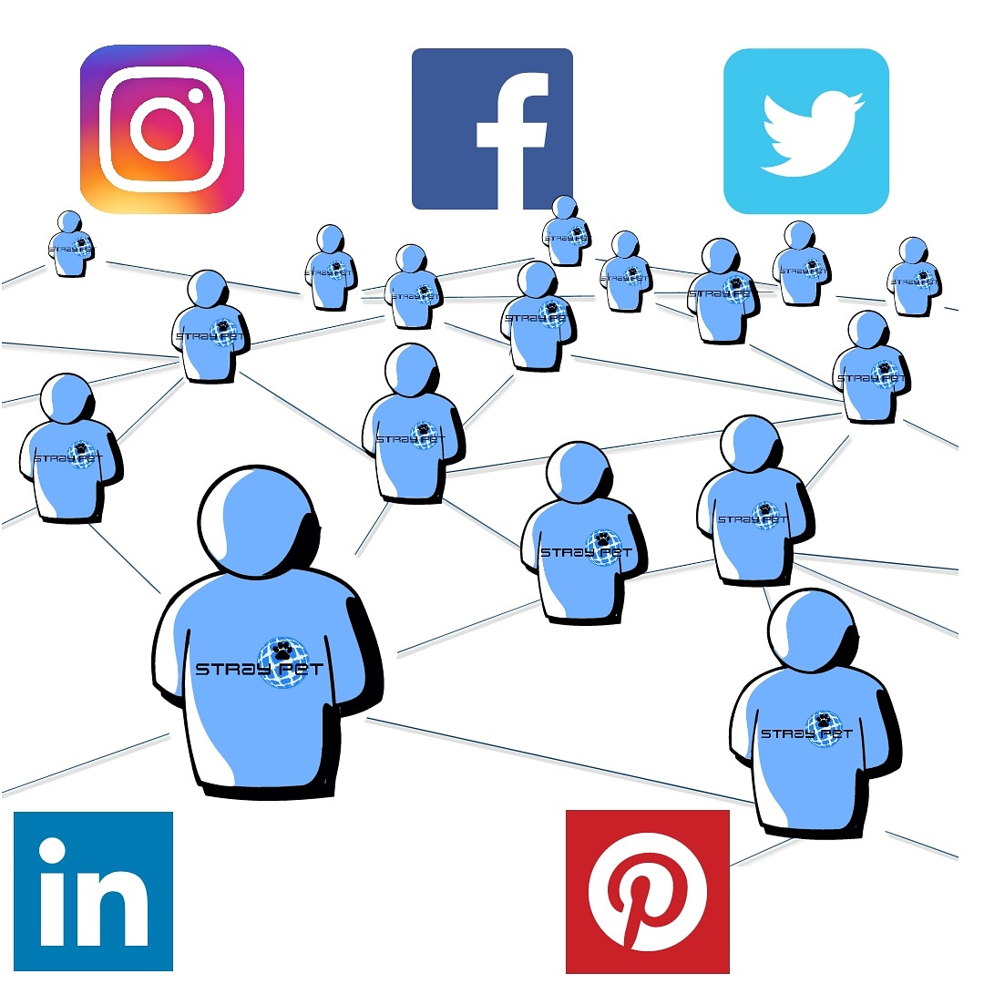 StraypetM's tweet image. We find more missing pets through Social Media than any other way  #straypet #lostpet #petalert #Minnesota #minneapolis